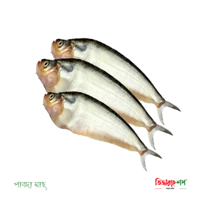 পাবদা মাছ । রেডি টু কুক