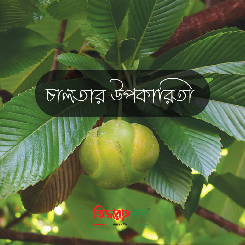 চালতার স্বাস্থ্য উপকারিতা